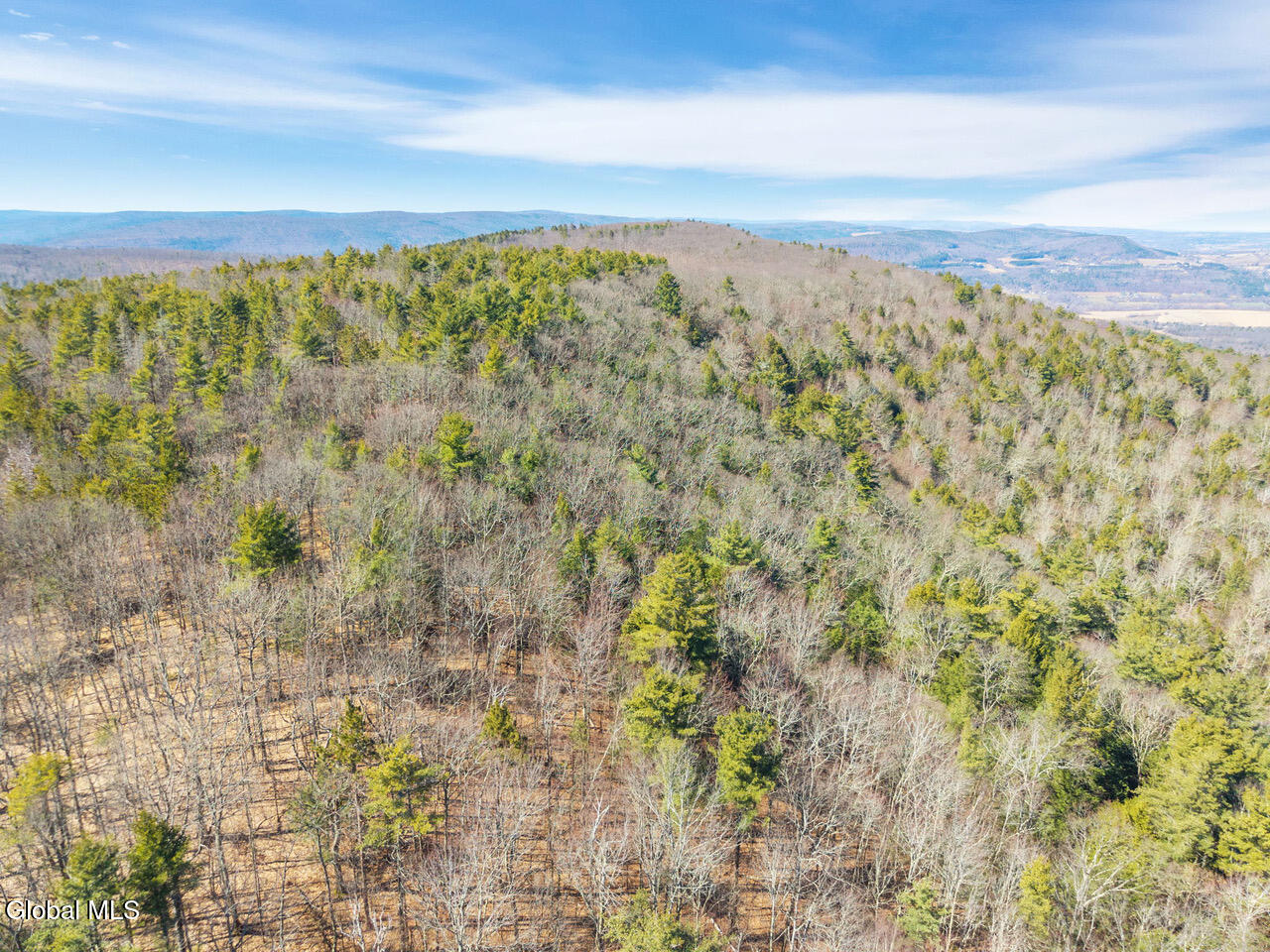 258 Engle Road Schoharie NY 12157