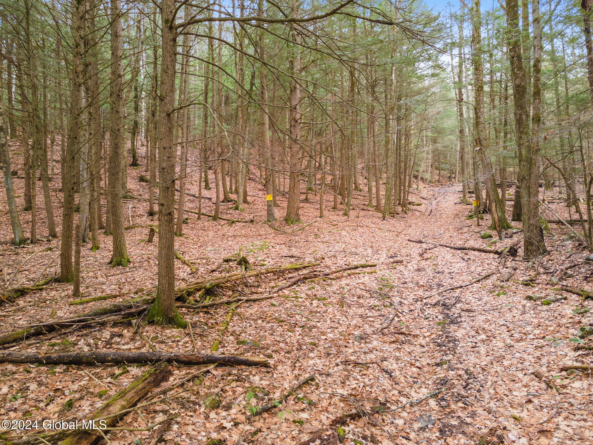258 Engle Road Schoharie NY 12157