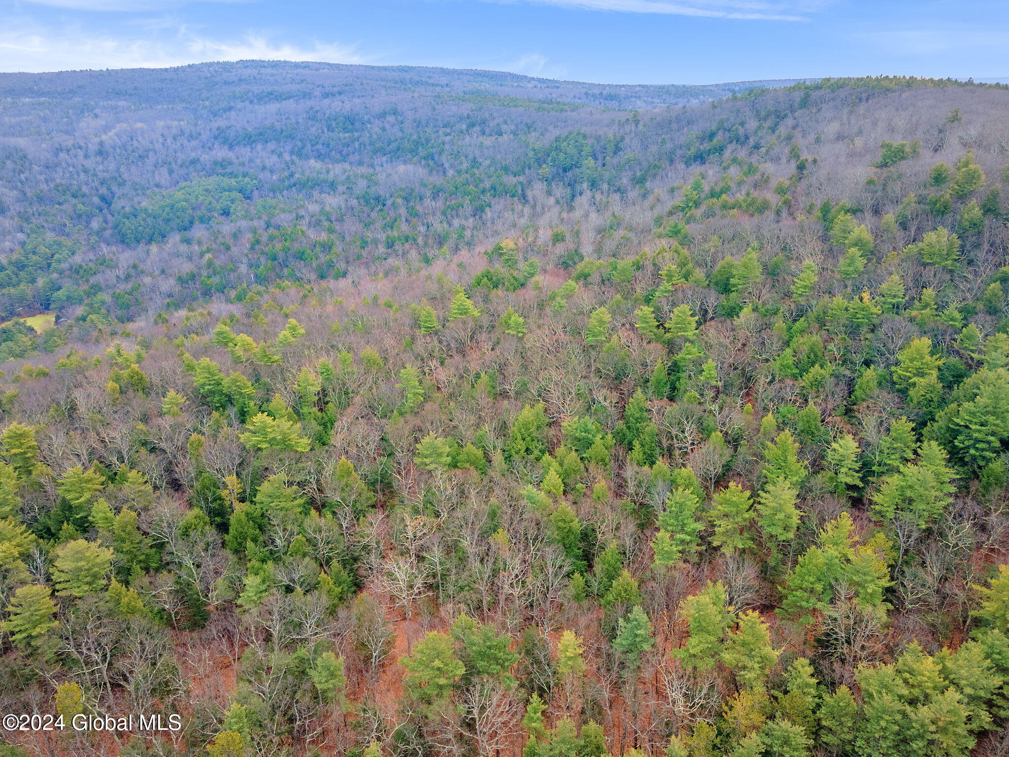 258 Engle Road Schoharie NY 12157