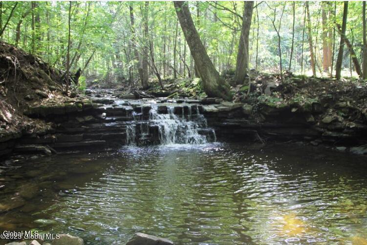 124 Quay Road Delanson NY 12053