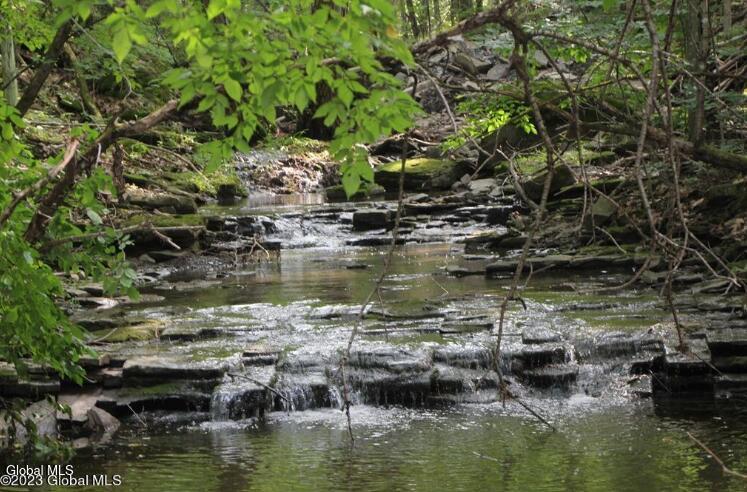124 Quay Road Delanson NY 12053