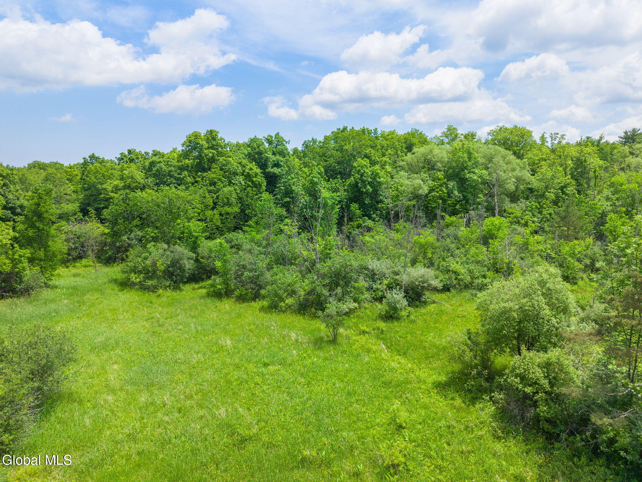 124 Quay Road Delanson NY 12053