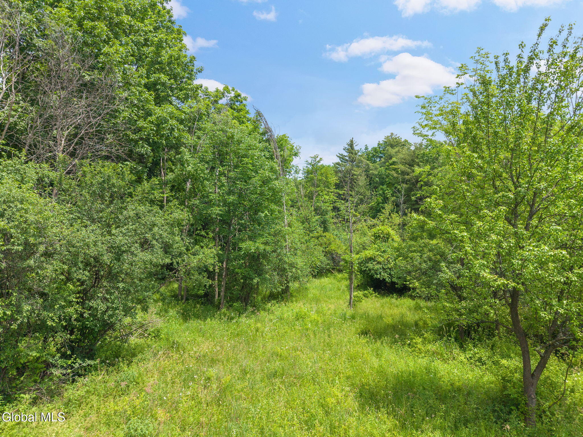 124 Quay Road Delanson NY 12053
