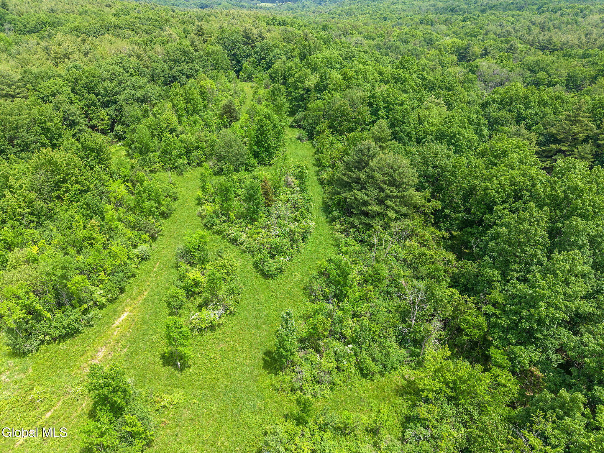 124 Quay Road Delanson NY 12053