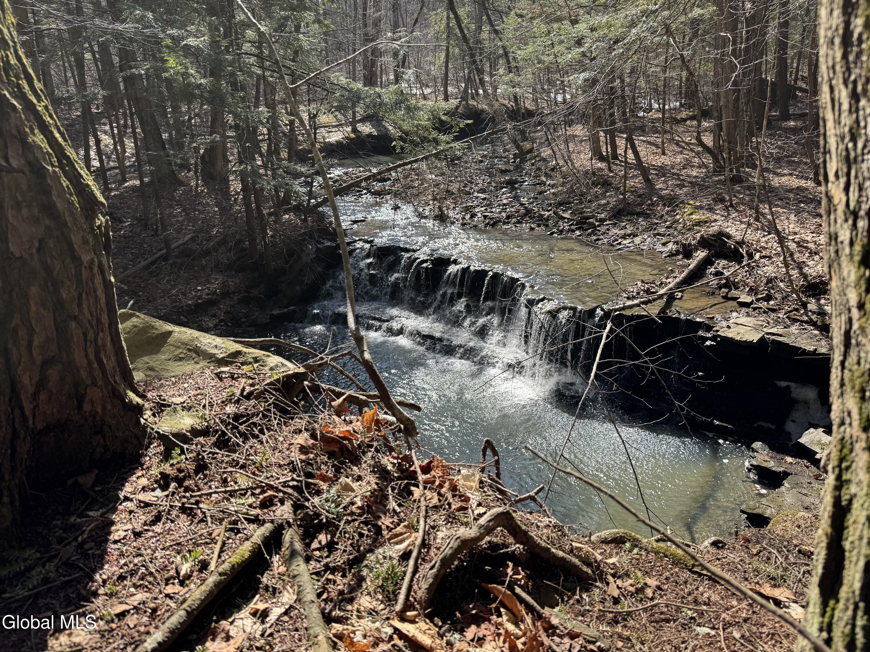 124 Quay Road Delanson NY 12053
