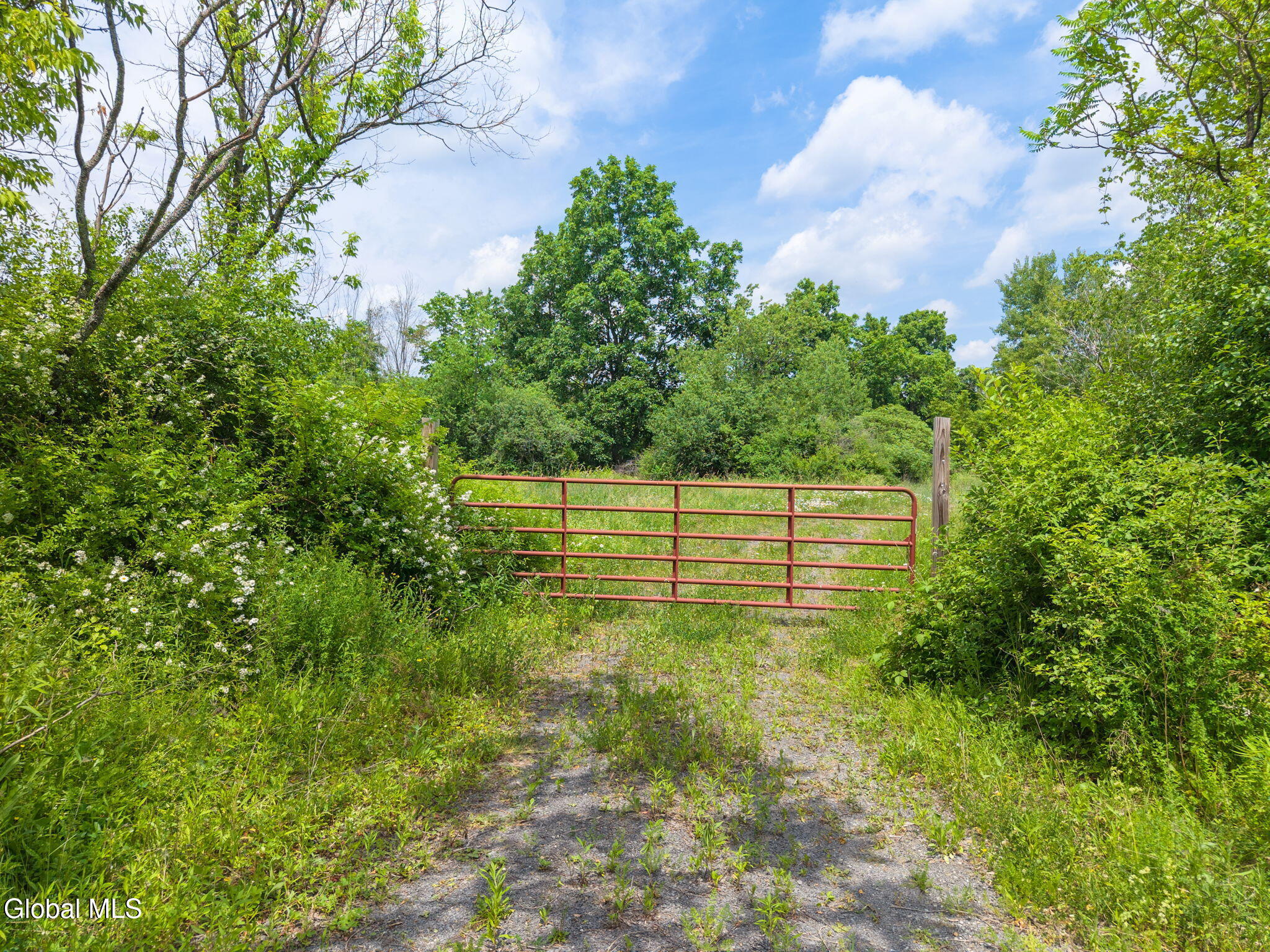 124 Quay Road Delanson NY 12053