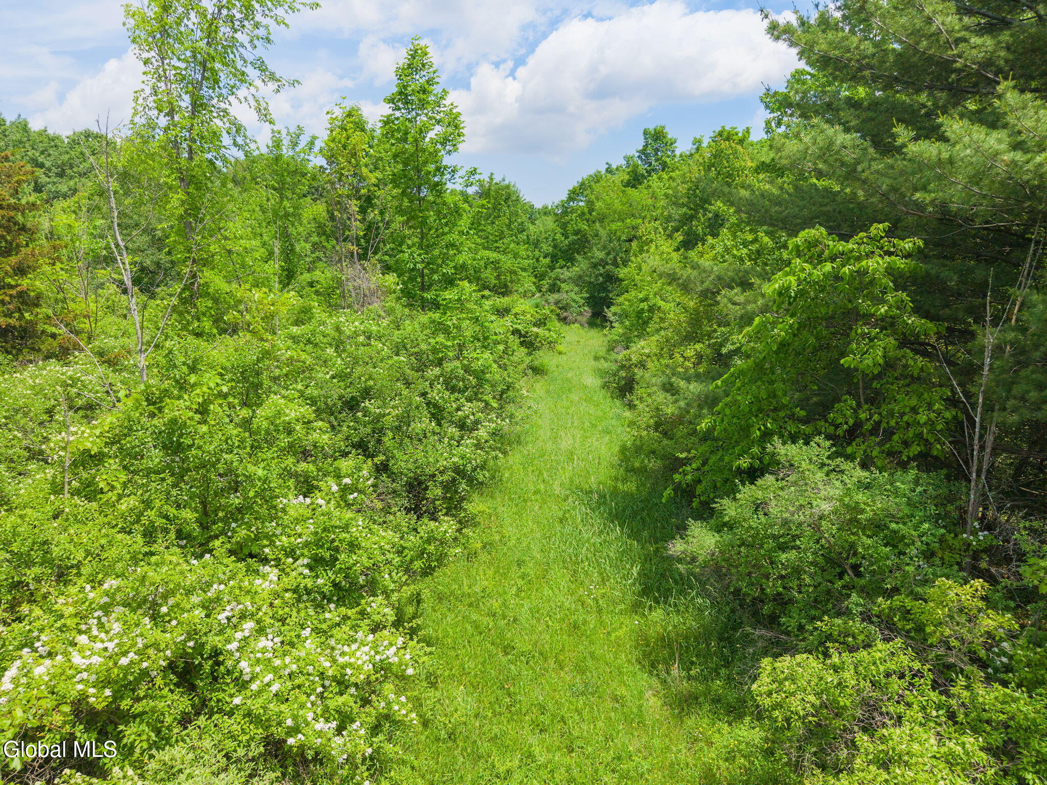 124 Quay Road Delanson NY 12053