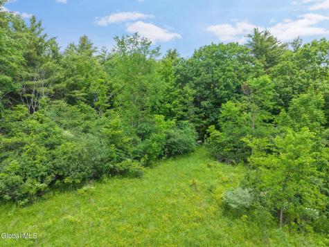 124 Quay Road Delanson NY 12053