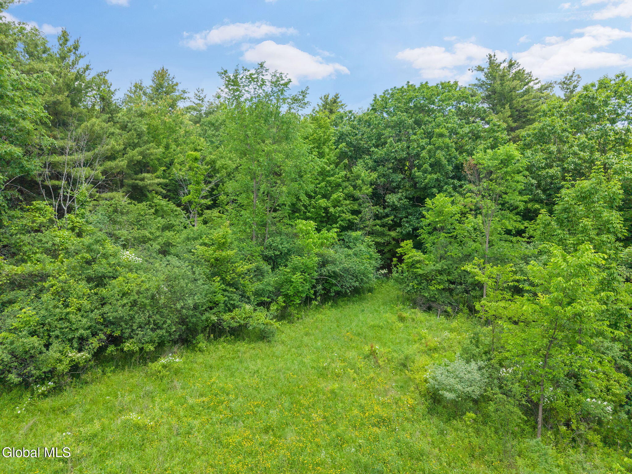 124 Quay Road Delanson NY 12053