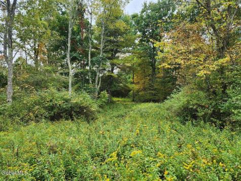 L15.4 Bogtown Road Salem NY 12865