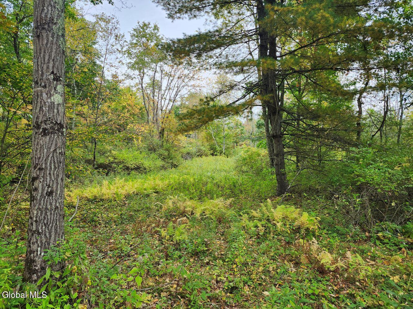 L15.4 Bogtown Road Salem NY 12865