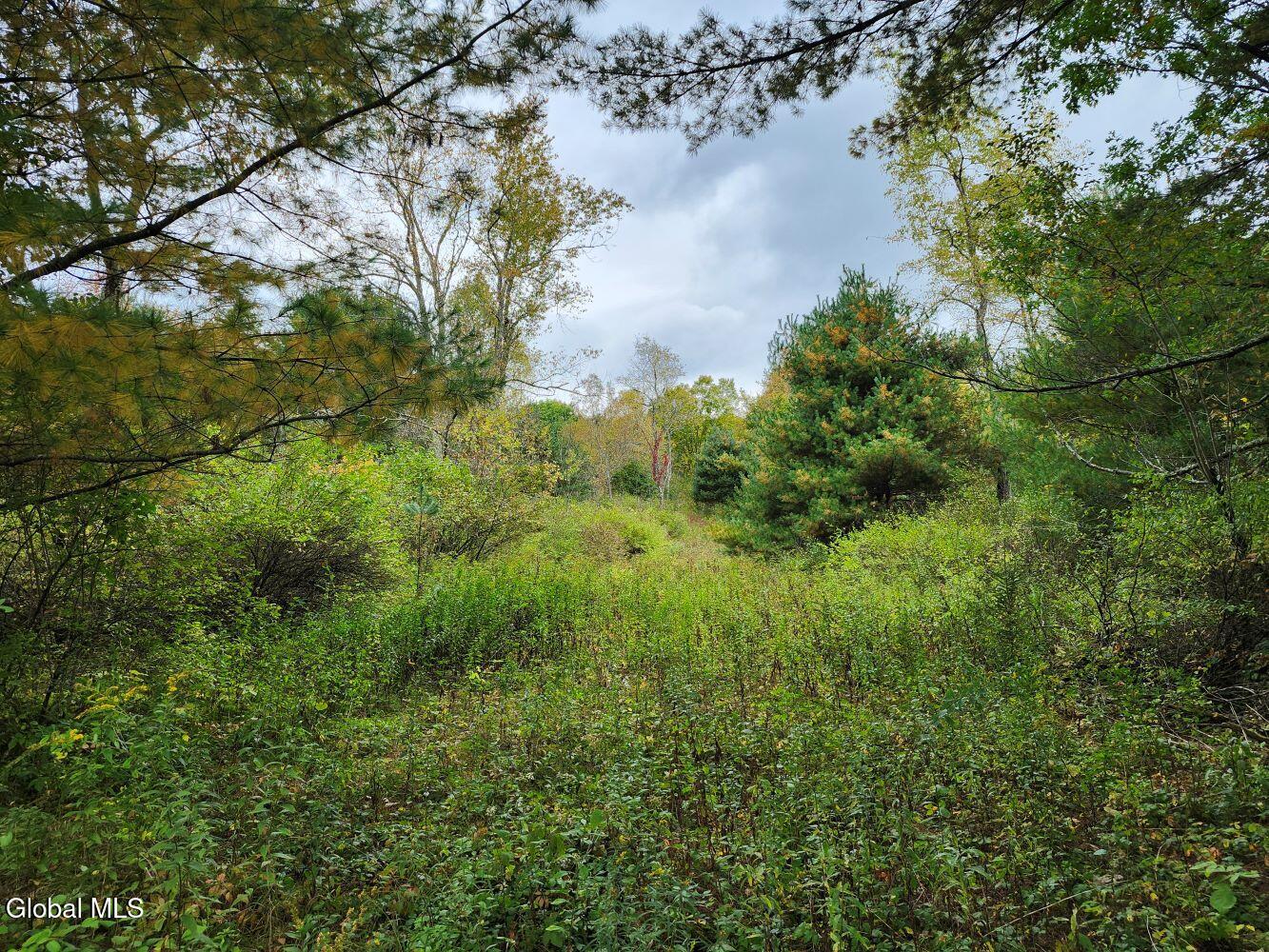 L15.4 Bogtown Road Salem NY 12865
