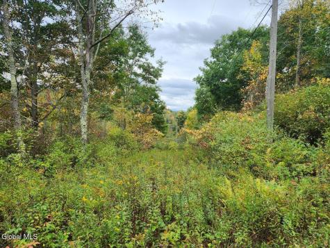 L15.4 Bogtown Road Salem NY 12865