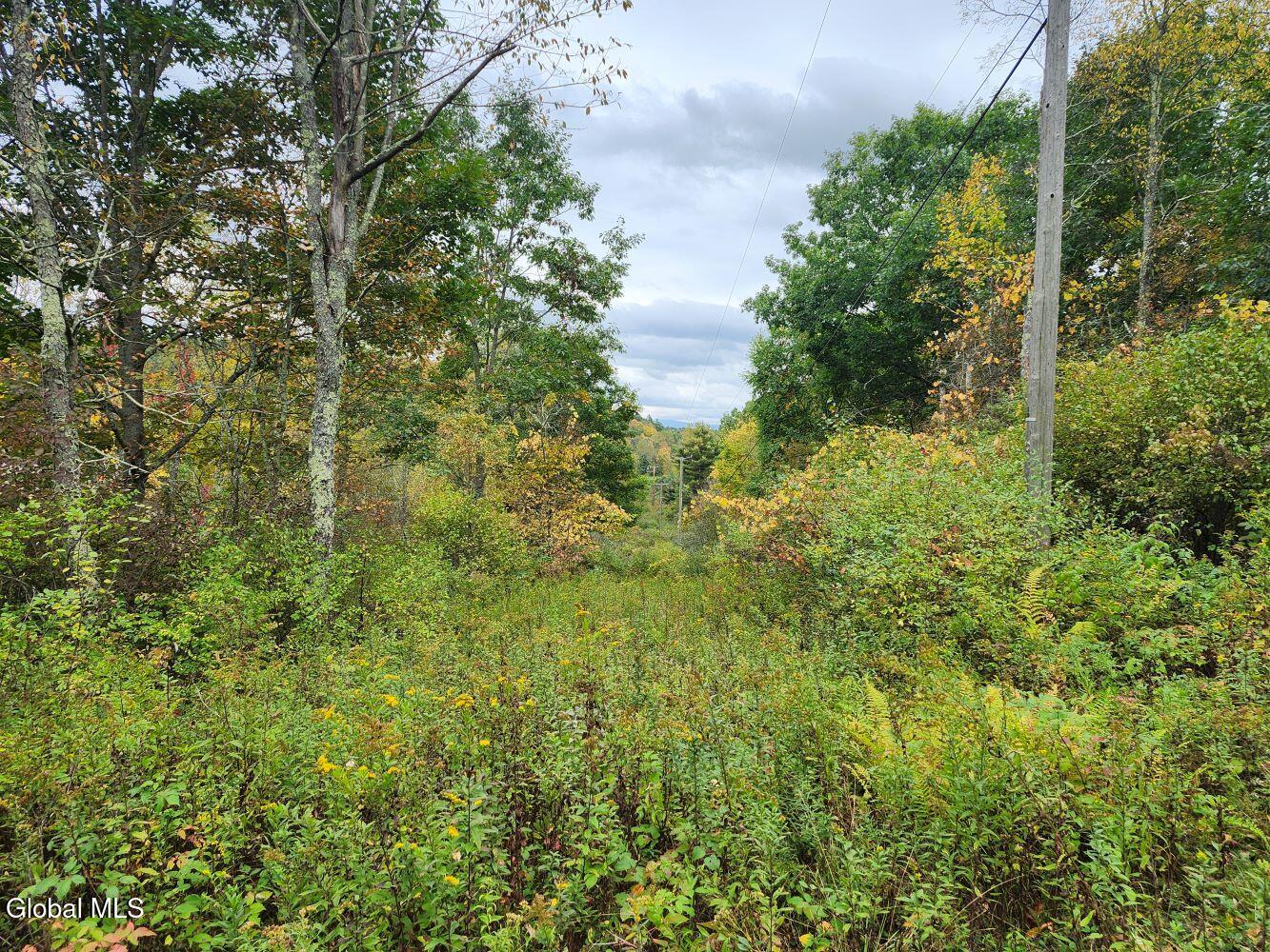 L15.4 Bogtown Road Salem NY 12865