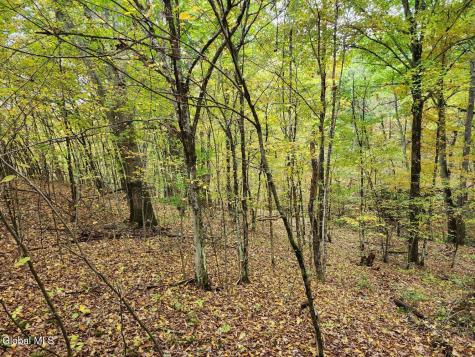L15.4 Bogtown Road Salem NY 12865