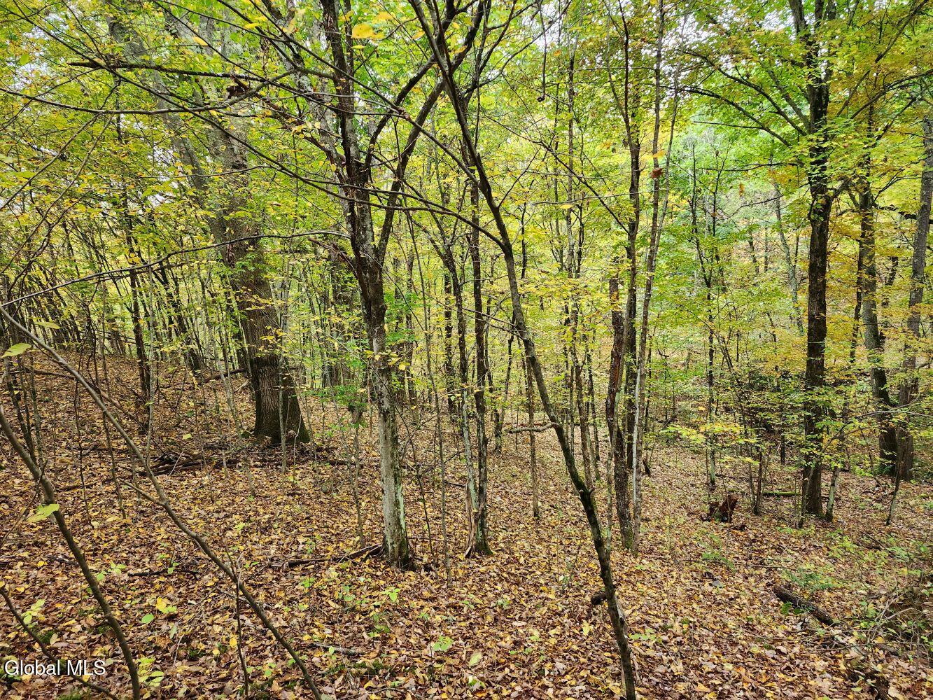 L15.4 Bogtown Road Salem NY 12865