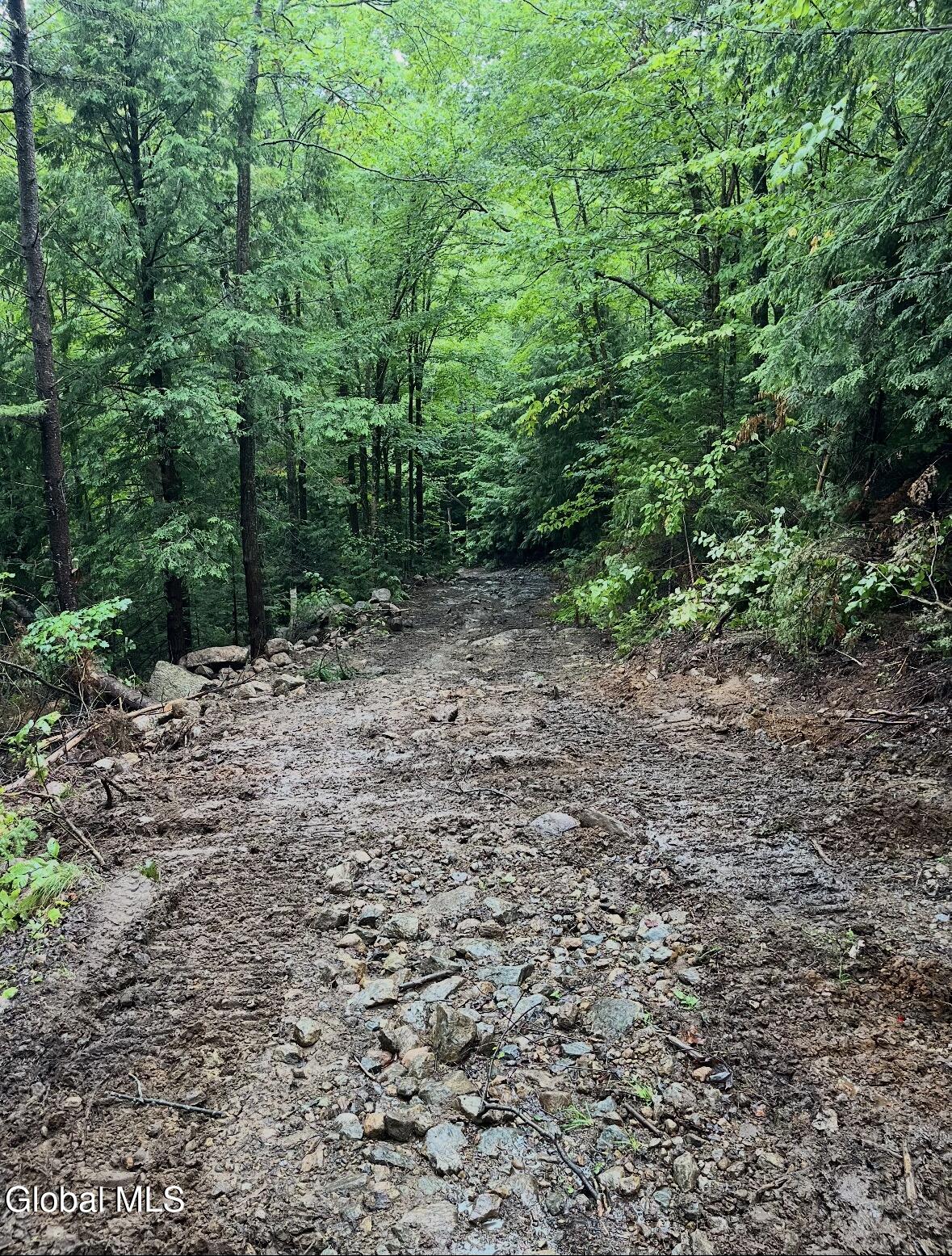 L16, L17 Street Route 8 North Creek NY 12811