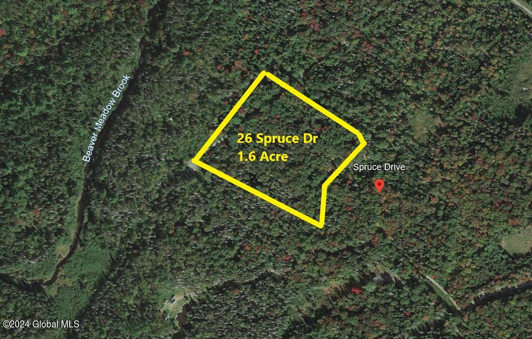 26 Spruce Drive Indian Lake NY 12842