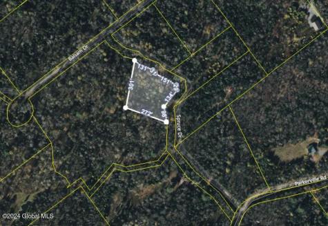 26 Spruce Drive Indian Lake NY 12842