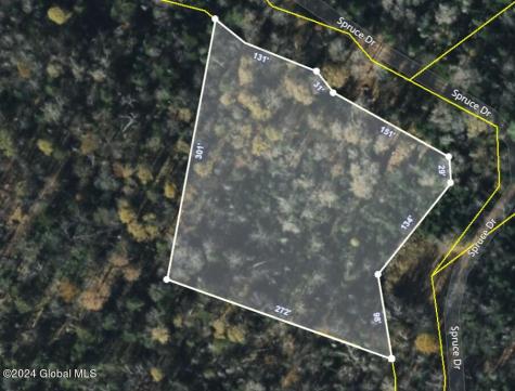 26 Spruce Drive Indian Lake NY 12842