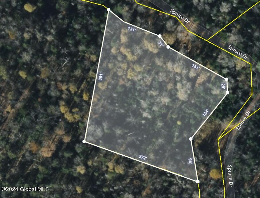 26 Spruce Drive Indian Lake NY 12842