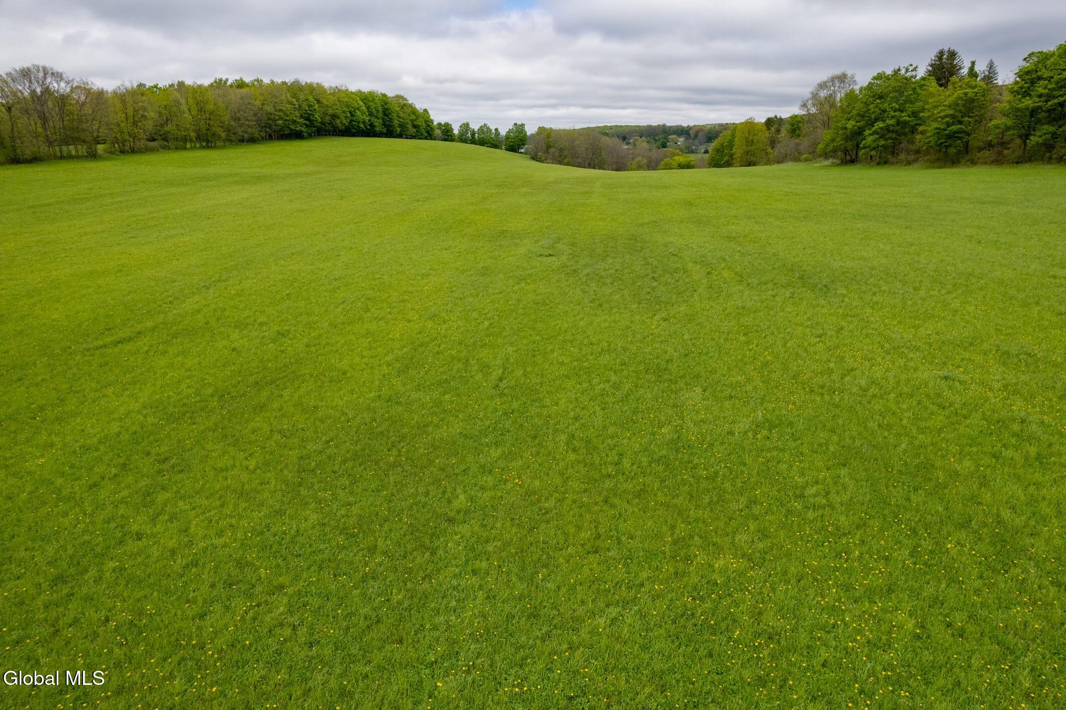 229 Scofield Road Sharon NY 13459