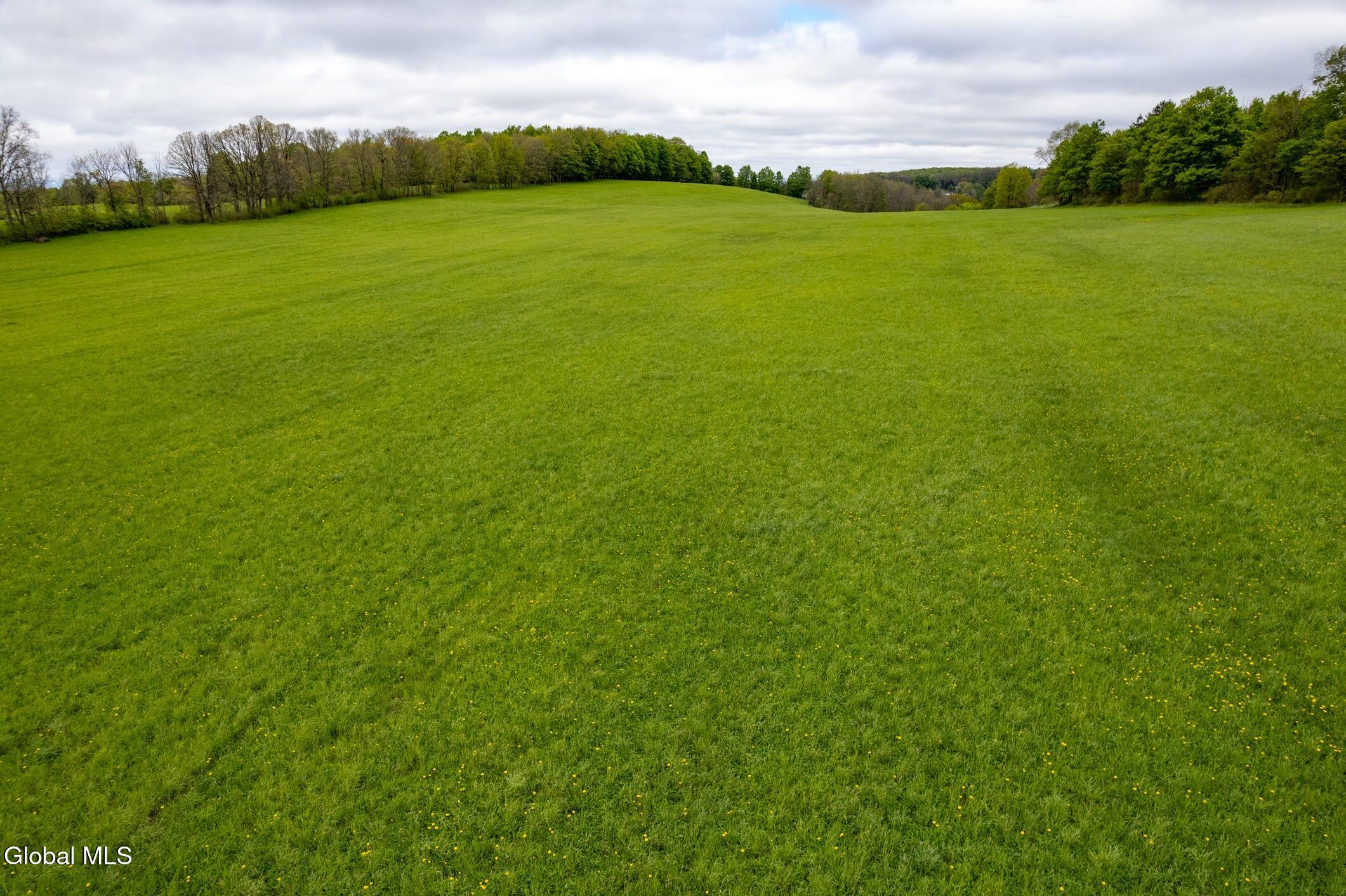 229 Scofield Road Sharon NY 13459