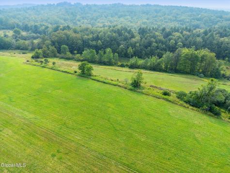 L7.110 County Route 402 Westerlo NY 12193