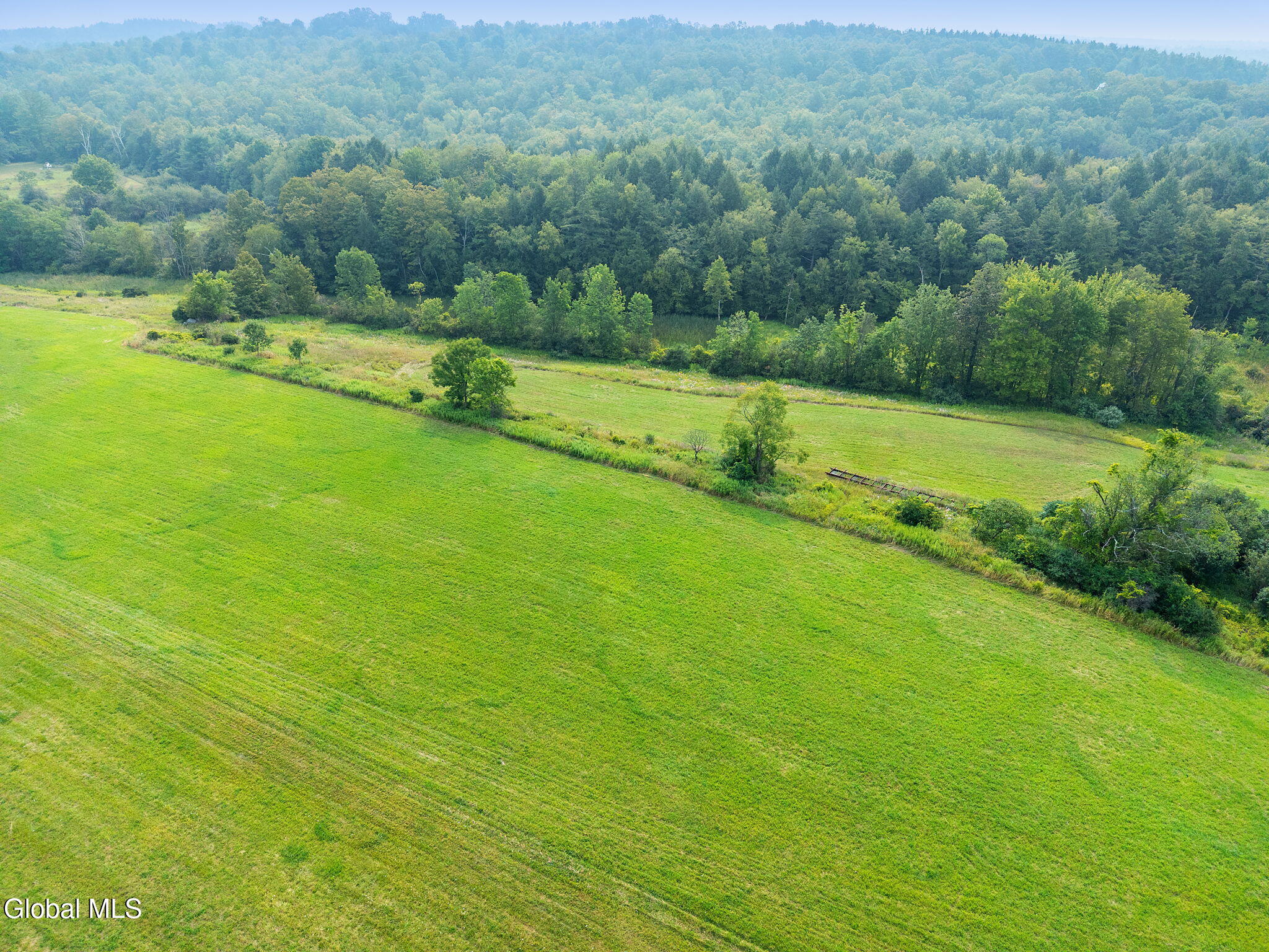 L7.110 County Route 402 Westerlo NY 12193