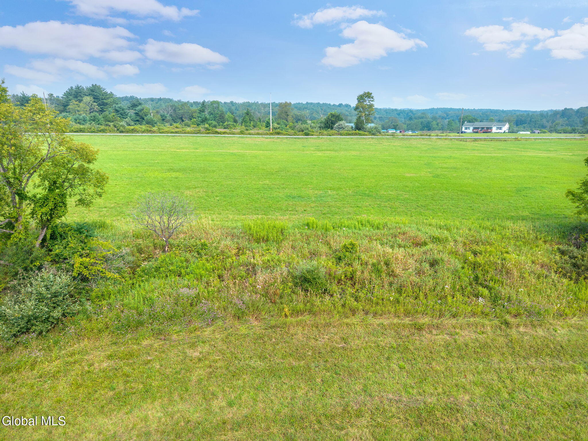 L7.110 County Route 402 Westerlo NY 12193