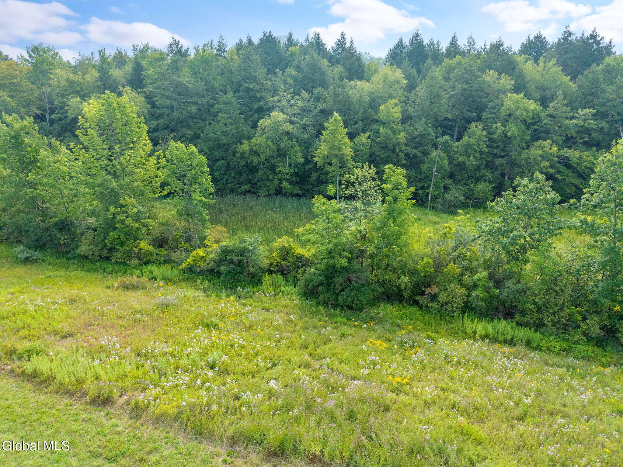 L7.110 County Route 402 Westerlo NY 12193