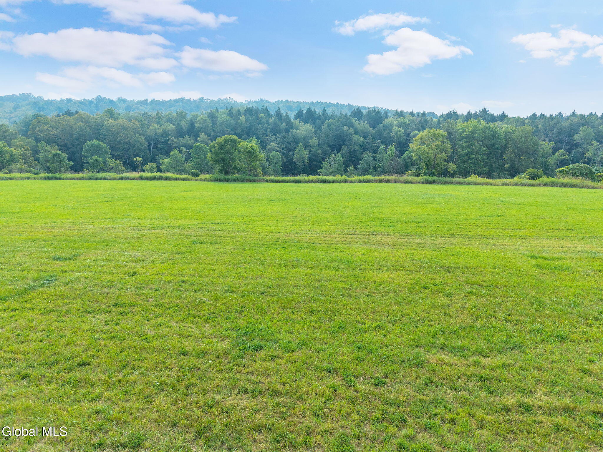 L7.110 County Route 402 Westerlo NY 12193