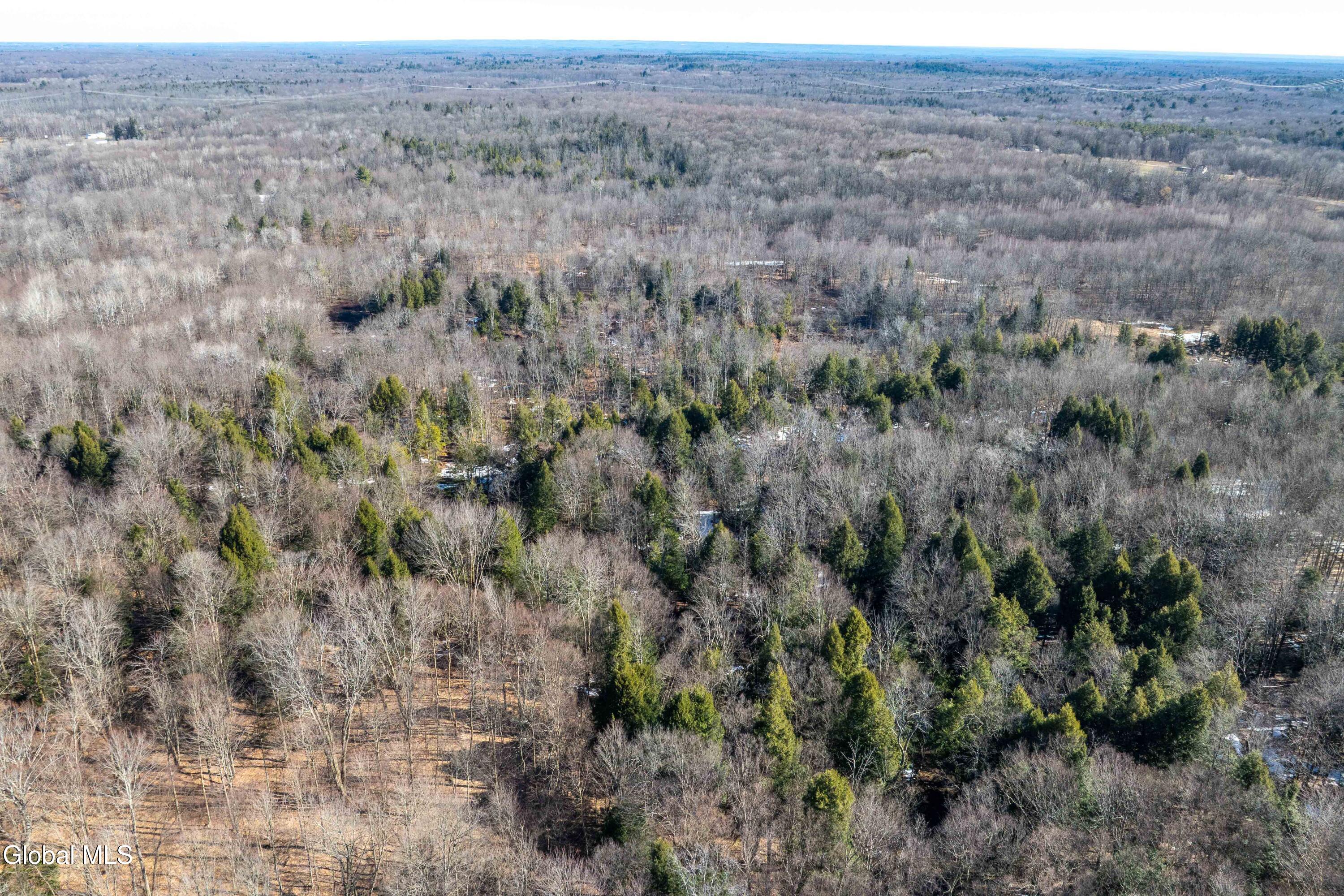 1105 County Route 38 Parish NY 13131