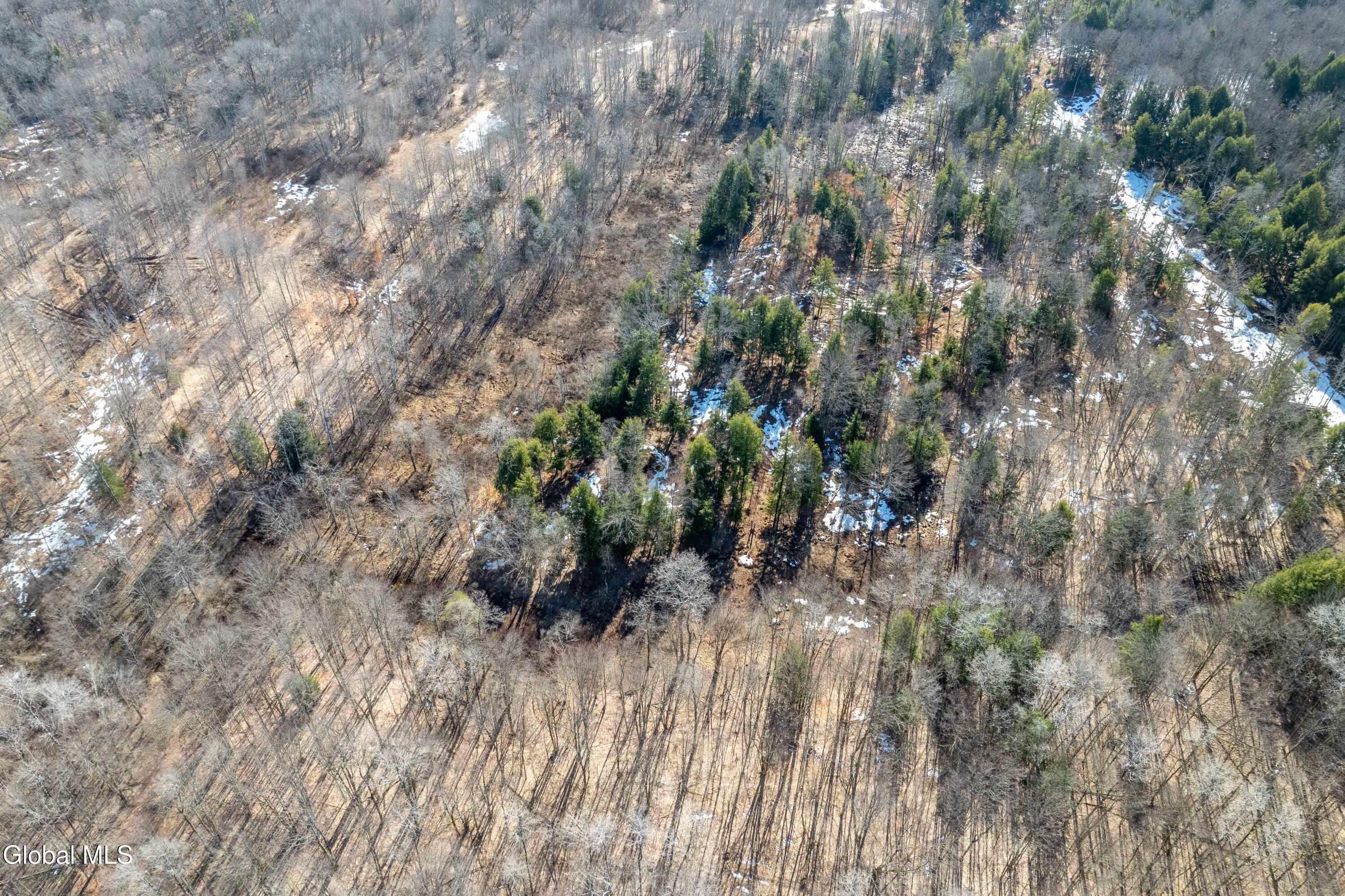 1105 County Route 38 Parish NY 13131