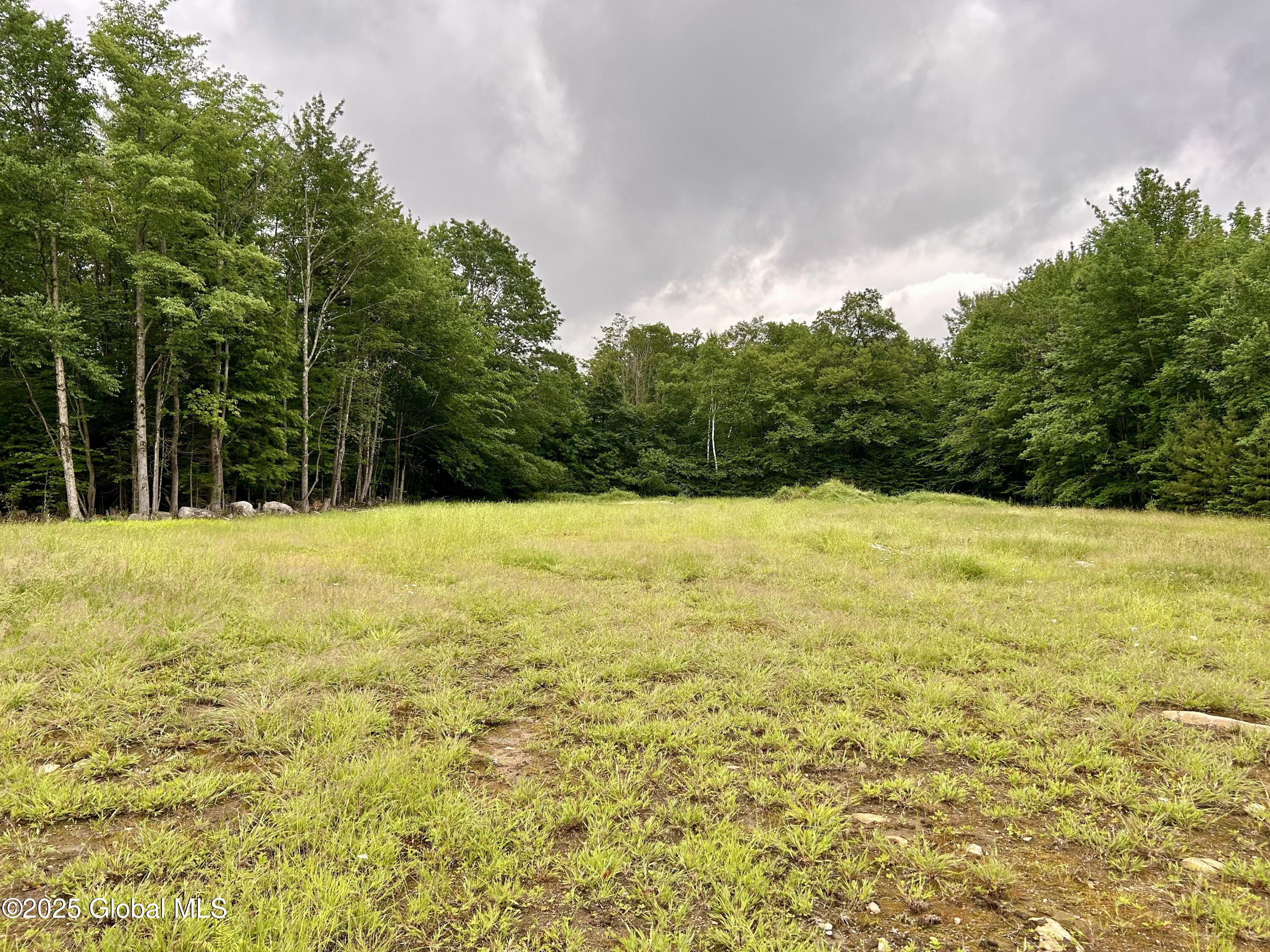 L40.12 Persch Road Bleecker NY 12078