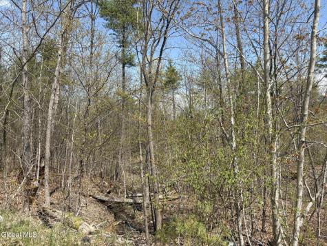 1310 Lower Road Putnam Station NY 12883
