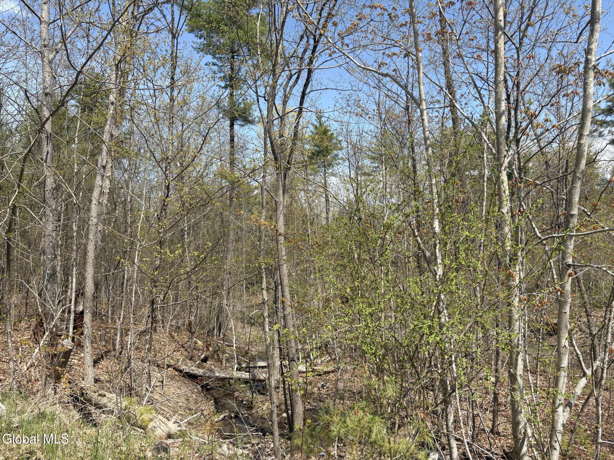 1310 Lower Road Putnam Station NY 12883