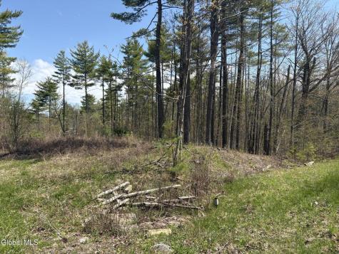 1310 Lower Road Putnam Station NY 12883