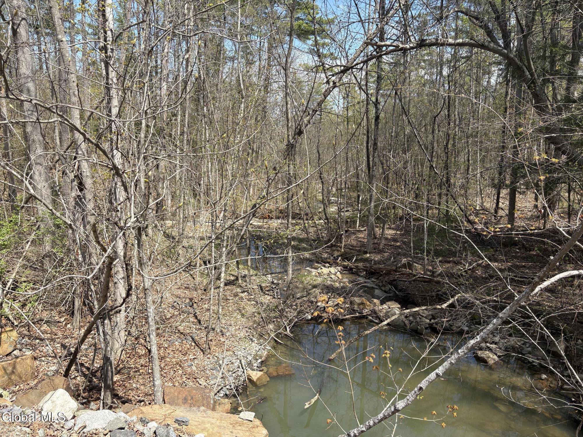 1310 Lower Road Putnam Station NY 12883