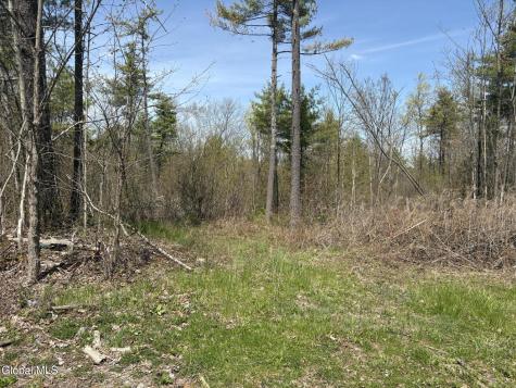 1310 Lower Road Putnam Station NY 12883