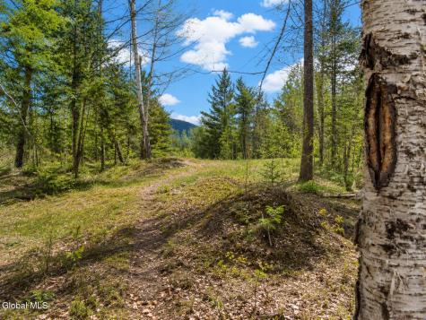L87 Highview Lane Wevertown NY 12886