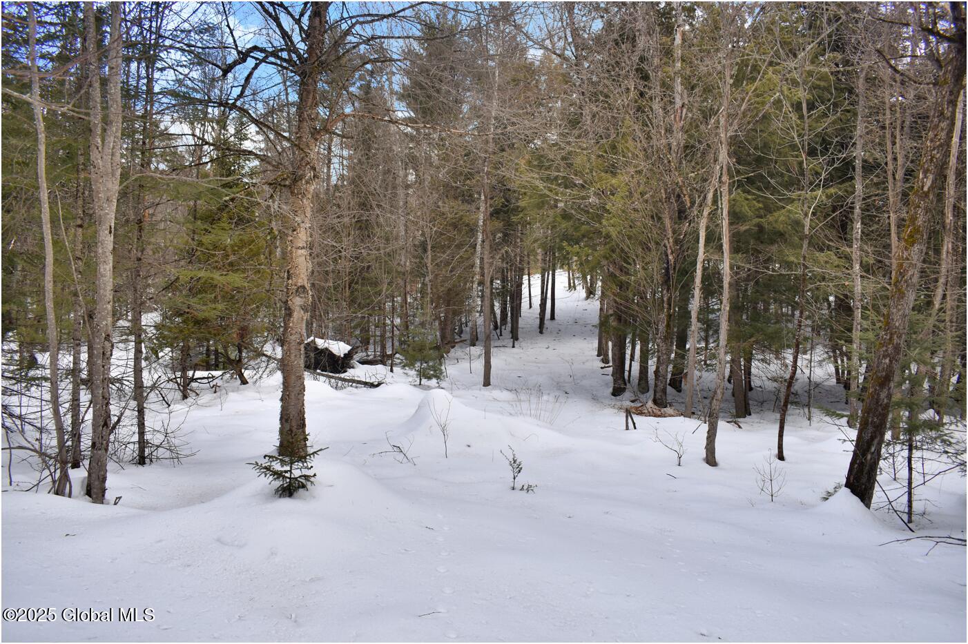 L87 Highview Lane Wevertown NY 12886