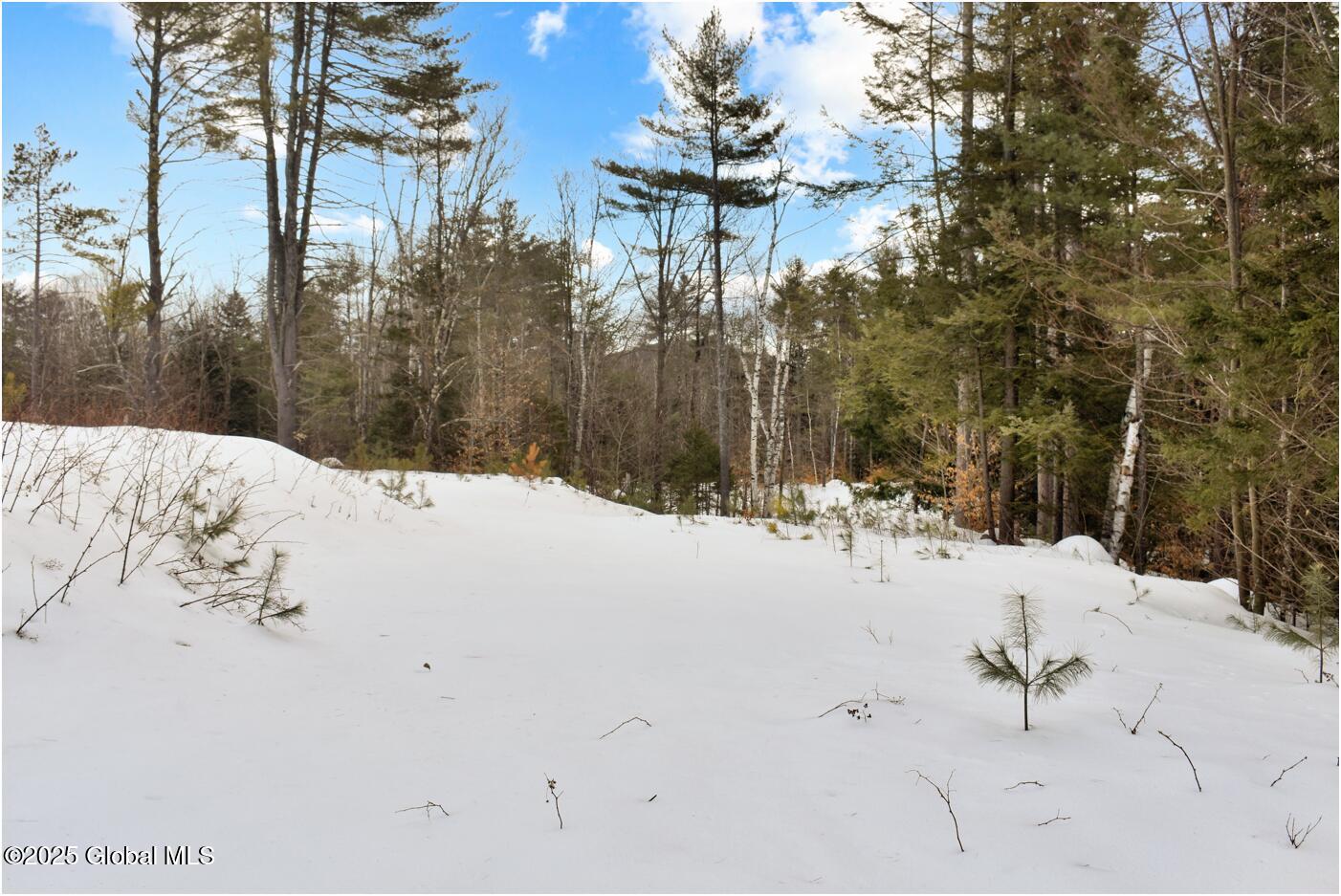 L87 Highview Lane Wevertown NY 12886