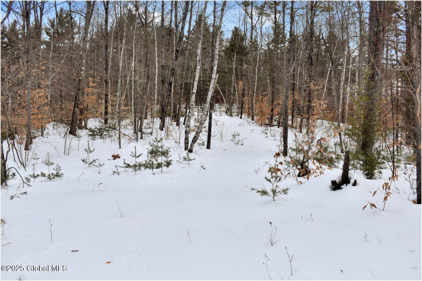 L87 Highview Lane Wevertown NY 12886