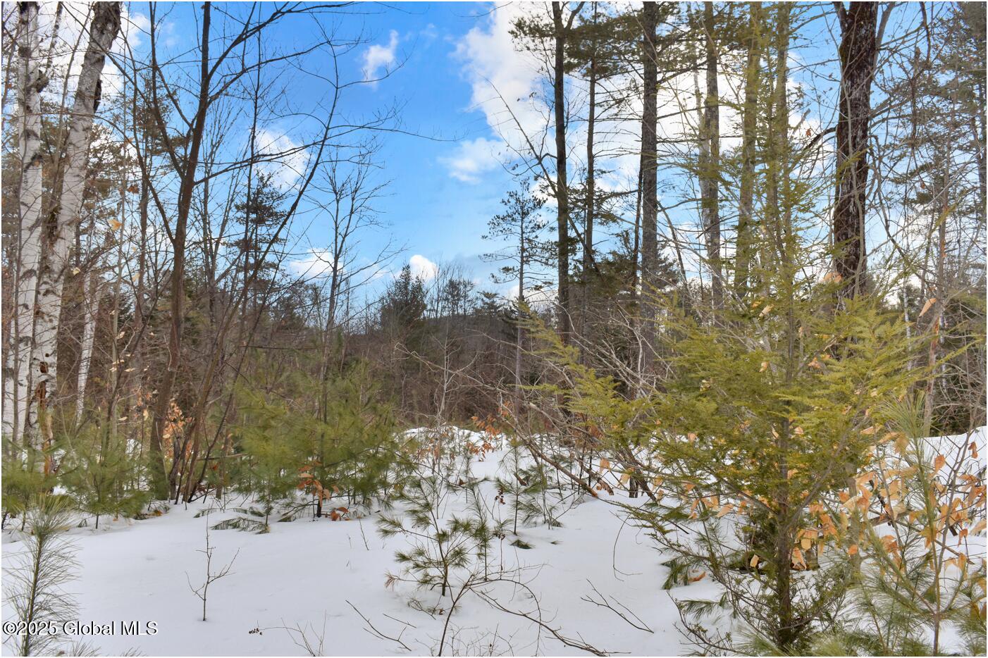 L87 Highview Lane Wevertown NY 12886