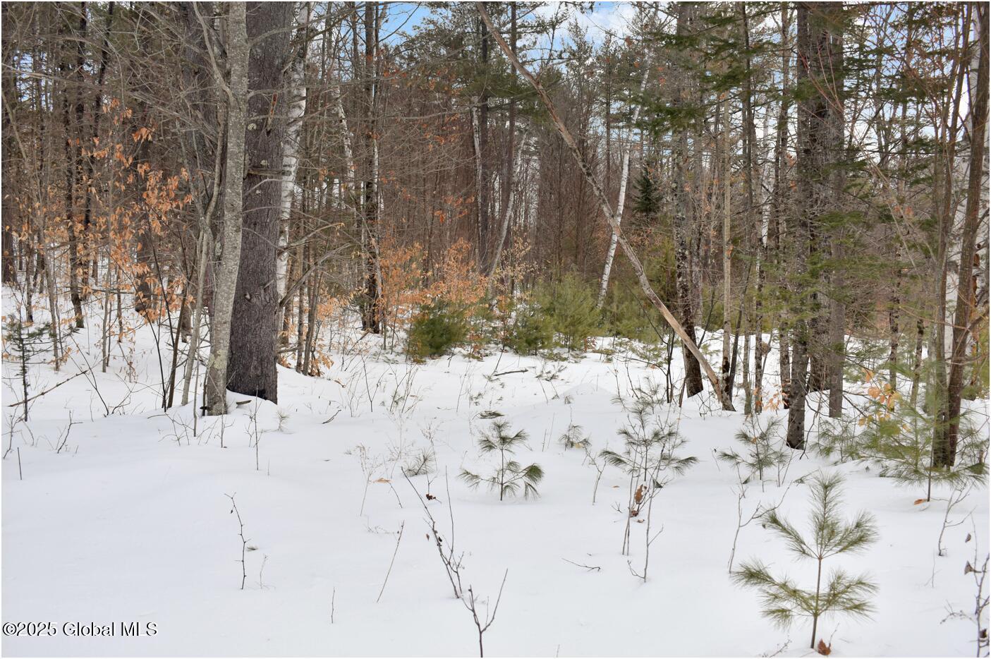 L87 Highview Lane Wevertown NY 12886