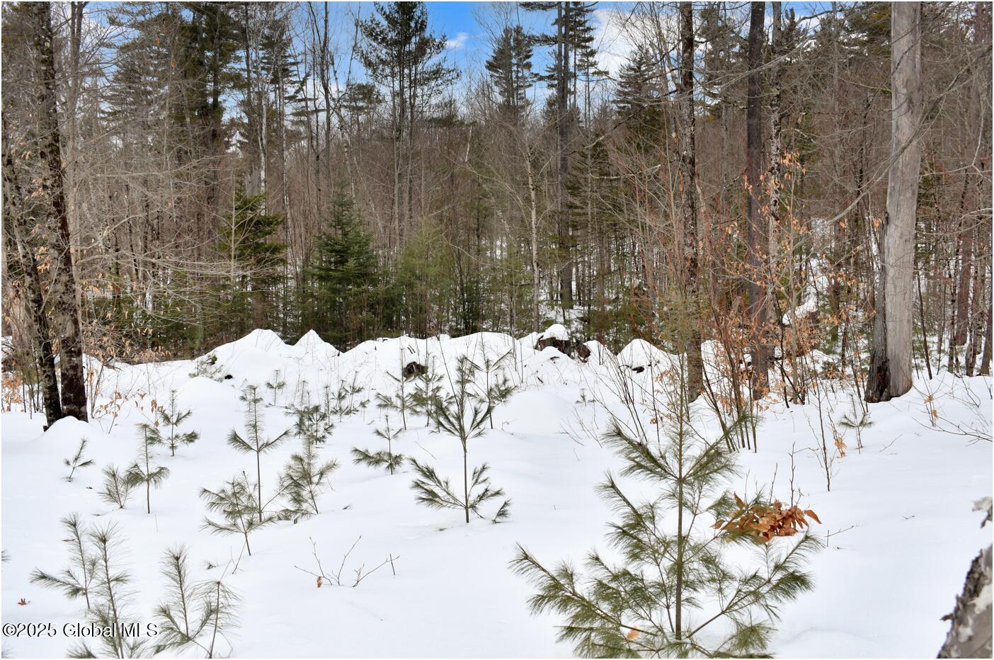 L87 Highview Lane Wevertown NY 12886