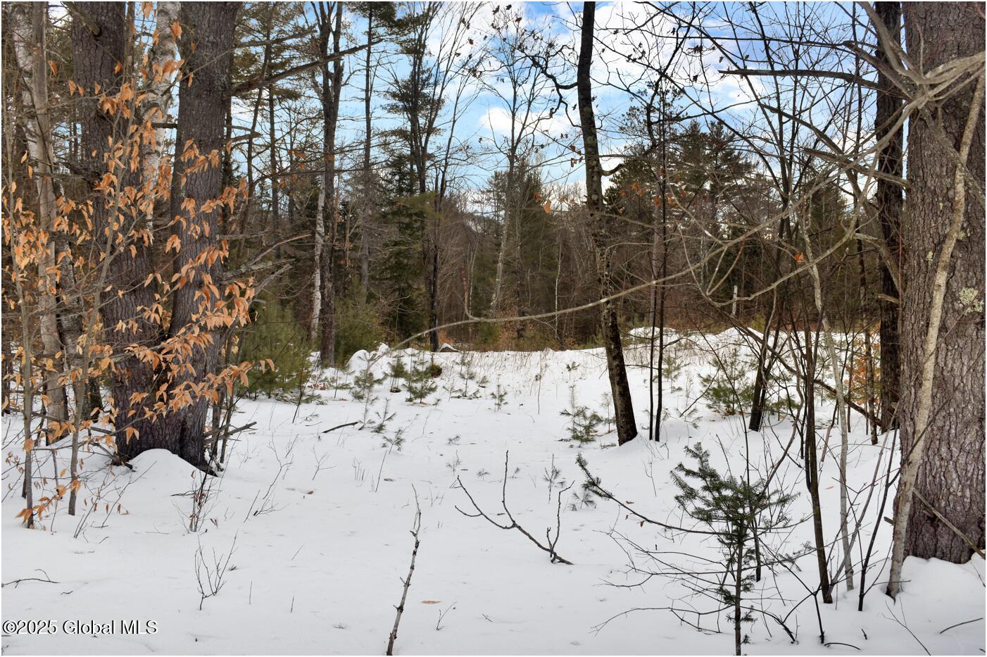 L87 Highview Lane Wevertown NY 12886