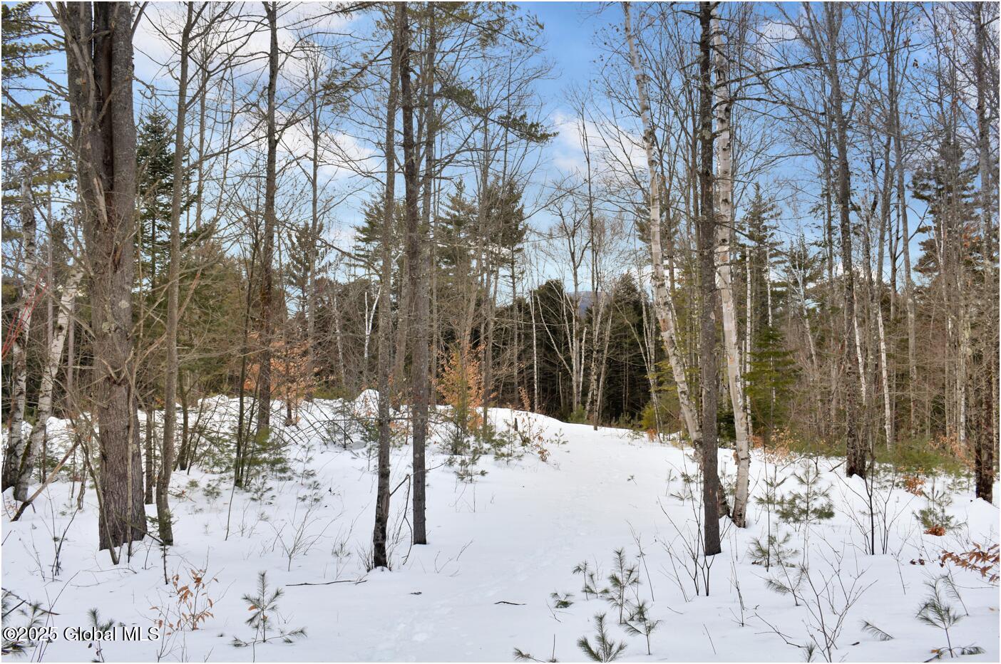 L87 Highview Lane Wevertown NY 12886