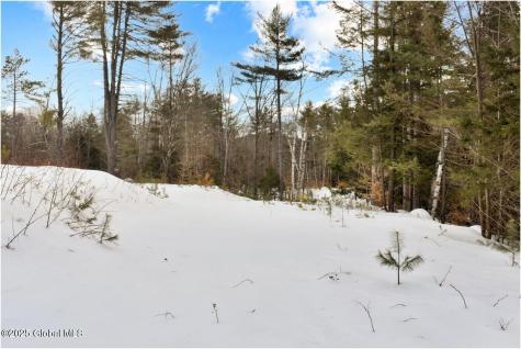 L87 Highview Lane Wevertown NY 12886
